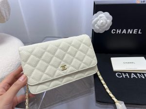 Reddit FashionReps Chanel Bag  FashionReps Bags 01YAA60