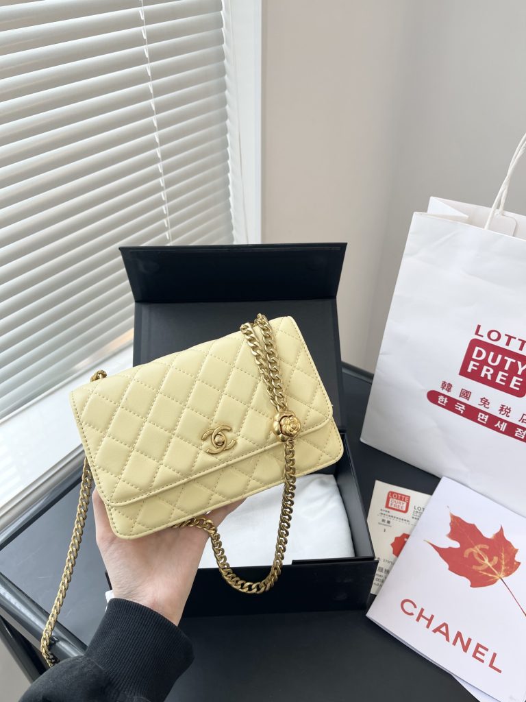 Reddit FashionReps Chanel Bag  FashionReps Bags 01YAA891
