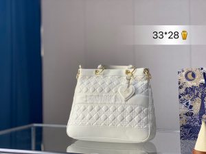 Reddit FashionReps Dior Bag  FashionReps Bags 10YAA1095