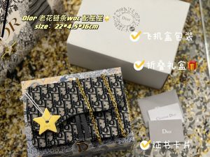 Reddit FashionReps Dior Bag  FashionReps Bags 10YAA1204