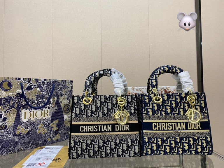 Reddit FashionReps Dior Bag  FashionReps Bags 10YAA1218