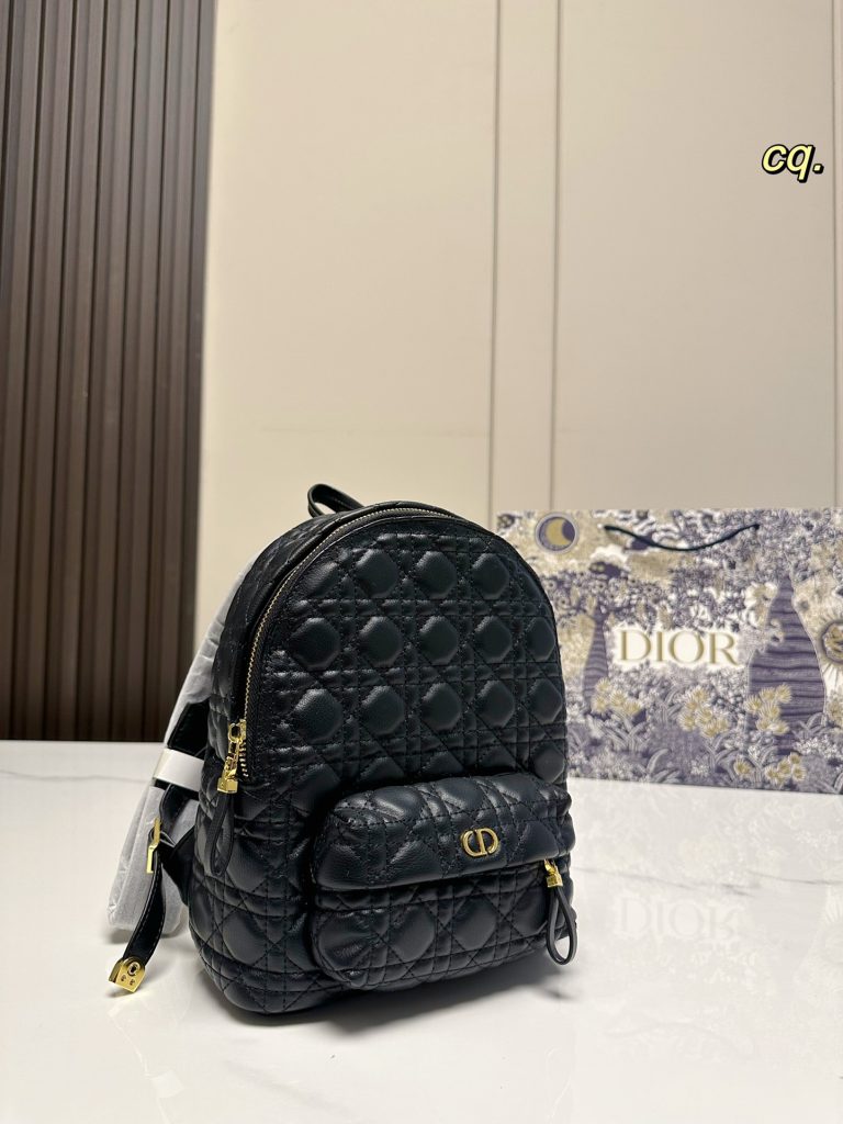 Reddit FashionReps Dior Bag  FashionReps Bags 10YAA1304