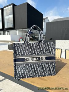 Reddit FashionReps Dior Bag  FashionReps Bags 10YAA1345