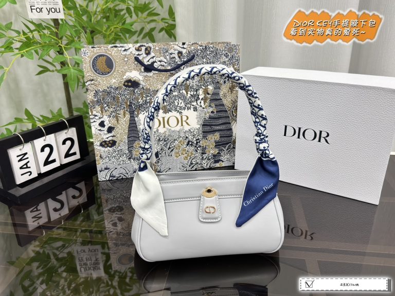 Reddit FashionReps Bolso Dior FashionReps Bolsos 10YAA167