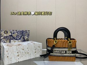 Reddit FashionReps Dior Bag  FashionReps Bags 10YAA1670