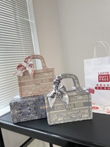 Reddit FashionReps Dior Bag  FashionReps Bags 10YAA1741