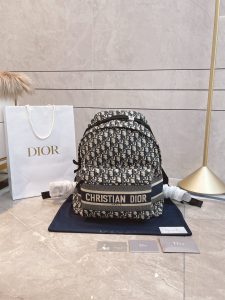 Reddit FashionReps Dior Bag  FashionReps Bags 10YAA1759