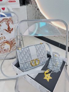 Reddit FashionReps Dior Bag  FashionReps Bags 10YAA1775