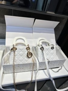 Reddit FashionReps Dior Bag  FashionReps Bags 10YAA1831