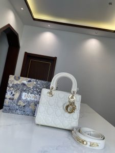 Reddit FashionReps Dior Bag  FashionReps Bags 10YAA1836