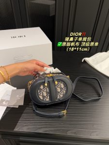 Reddit FashionReps Dior Bag  FashionReps Bags 10YAA2051