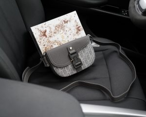 Reddit FashionReps Dior Bag  FashionReps Bags 10YAA2197