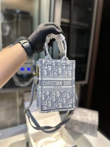 Reddit FashionReps Dior Bag  FashionReps Bags 10YAA2264