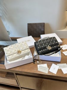 Reddit FashionReps Dior Bag  FashionReps Bags 10YAA2354