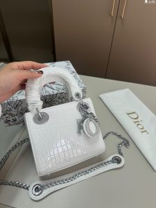 Reddit FashionReps Bolso Dior FashionReps Bolsos 10YAA320