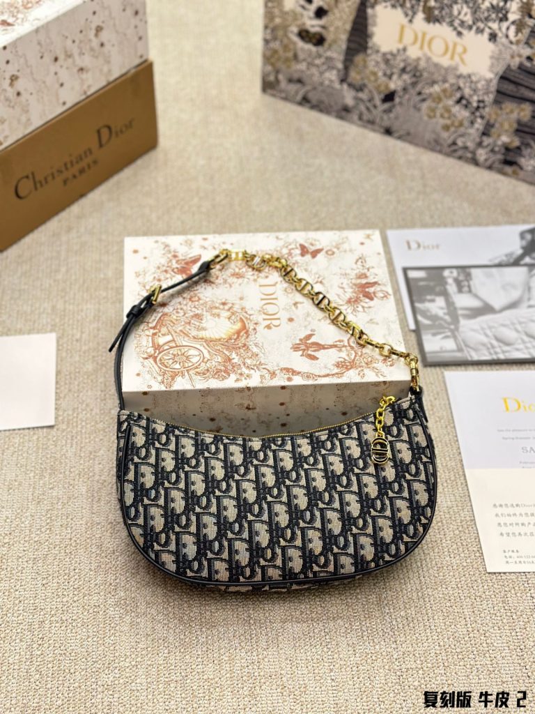 Reddit FashionReps Dior Bag  FashionReps Bags 10YAA4193