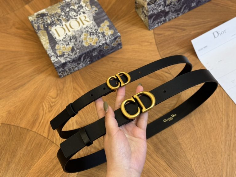 Reddit FashionReps Dior Bag  FashionReps Bags 10YAA4758