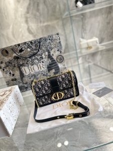 Reddit FashionReps Dior Bag  FashionReps Bags 10YAA728